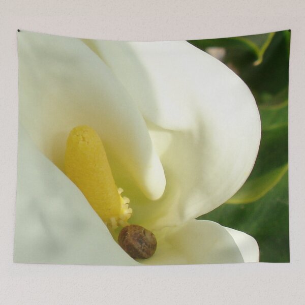 Item preview, A Place Of Rest, Calla, Garden and Land Snail designed and sold by taiche.