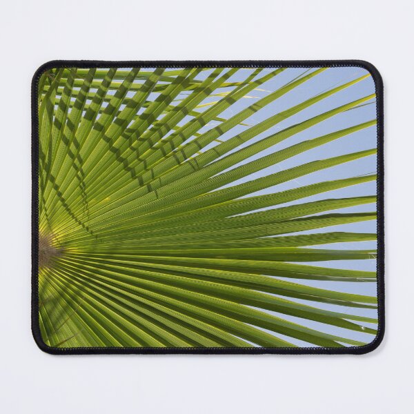 Item preview, Green palm leaf and blue sky, beach season designed and sold by Adriana Mueller.