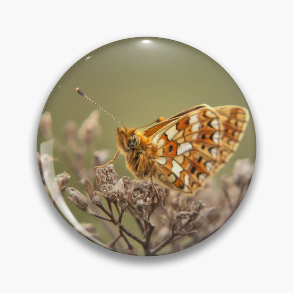 Item preview, Butterfly on sticks designed and sold by Koolmees.