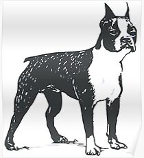 dog Poster
