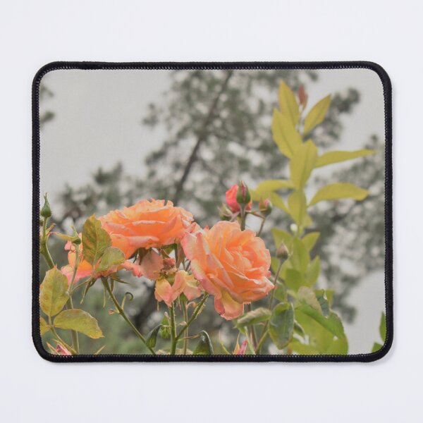 Item preview, Orange Citrus Roses designed and sold by MangoSeeds.