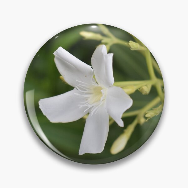 Item preview, White Oleander designed and sold by MangoSeeds.