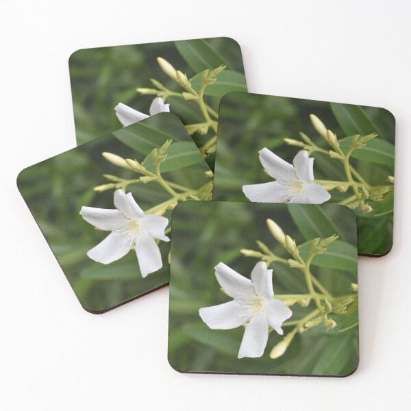 Item preview, White Oleander designed and sold by MangoSeeds.