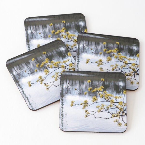 Item preview, Cornus officinalis 8 designed and sold by yunee.
