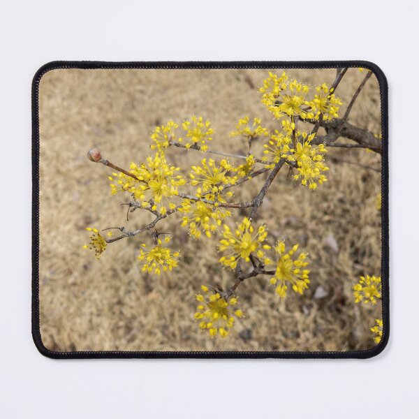 Item preview, Cornus officinalis 9 designed and sold by yunee.
