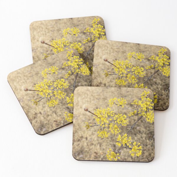 Item preview, Cornus officinalis 9 designed and sold by yunee.