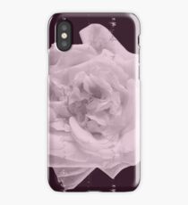 White rose on violet background iPhone Case