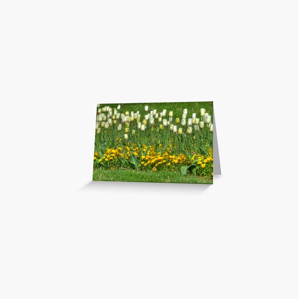 All In A Row Greeting Card
