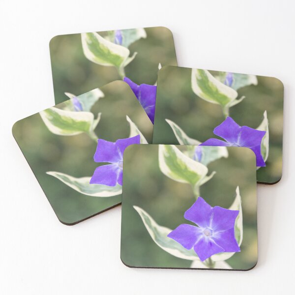 Item preview, Variegated Periwinkle designed and sold by JEZ22.