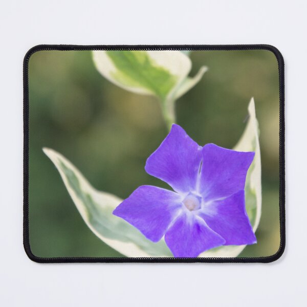 Item preview, Variegated Periwinkle designed and sold by JEZ22.