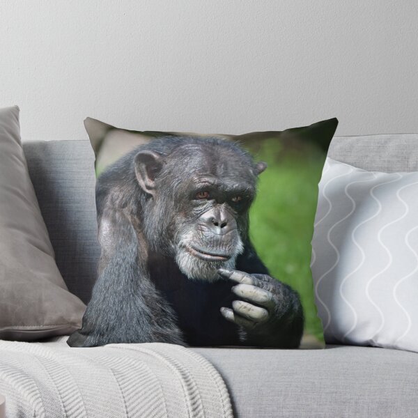 Item preview, Sierra designed and sold by Savannah Gibbs.