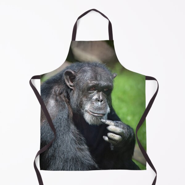 Item preview, Sierra designed and sold by Savannah Gibbs.