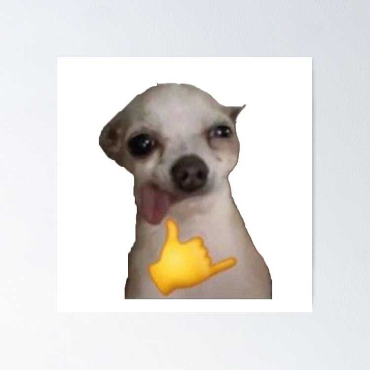 dog meme Sticker