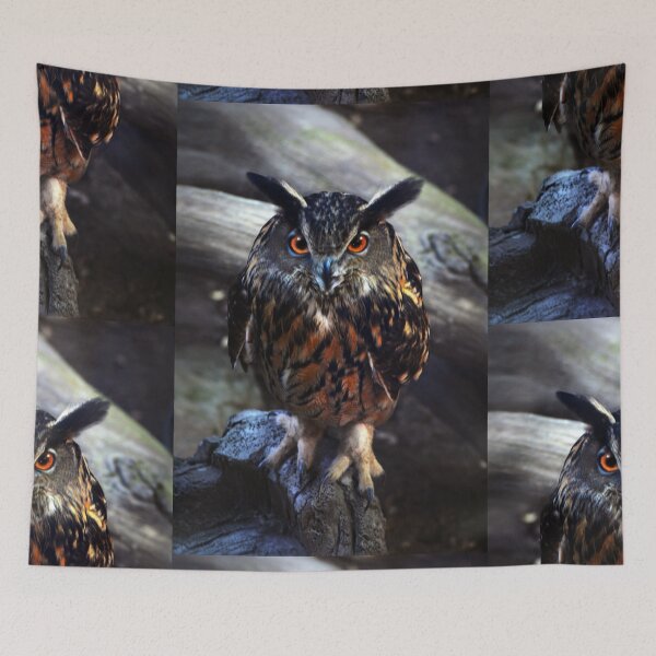 Item preview, Owl designed and sold by Savannah Gibbs.