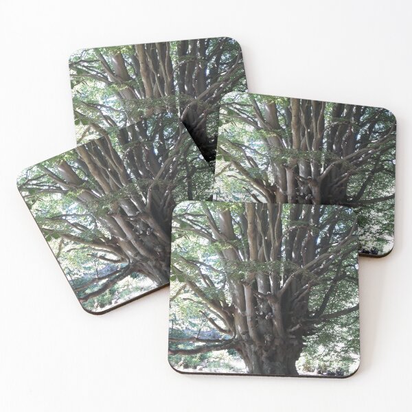 Item preview, The Witches Tree designed and sold by amanda150771.