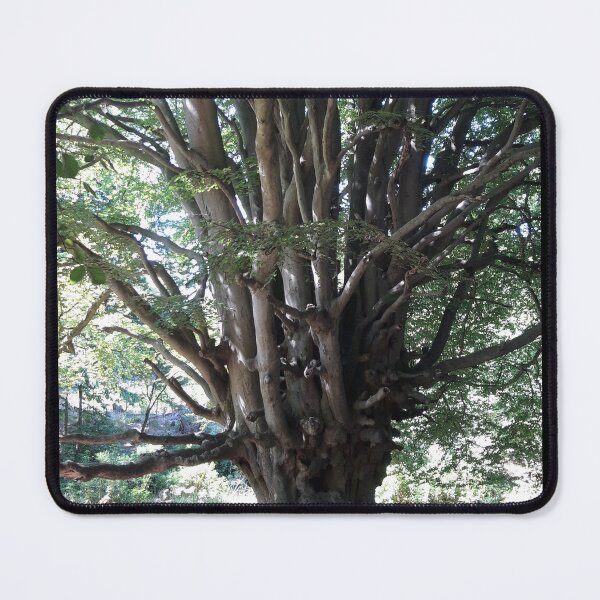 Item preview, The Witches Tree designed and sold by amanda150771.