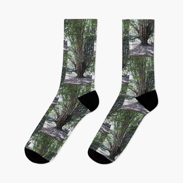 Item preview, The Witches Tree designed and sold by amanda150771.