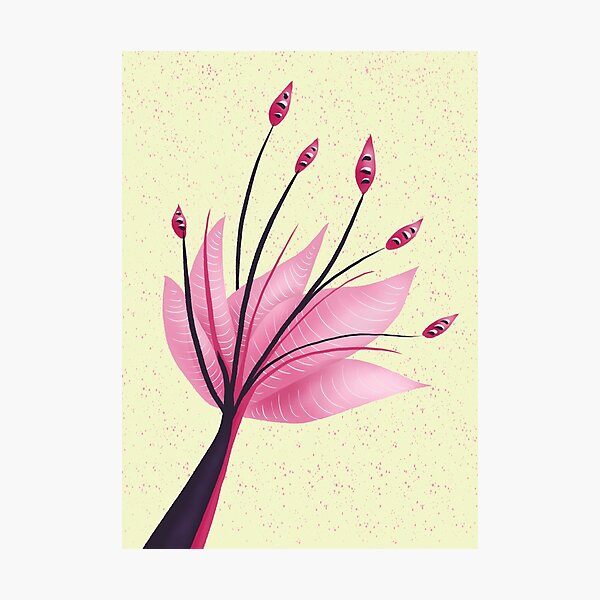 Pink Abstract Water Lily Flower Photographic Print