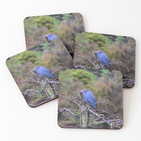 Item preview, Panorama Heron designed and sold by LisaWootenPhoto.