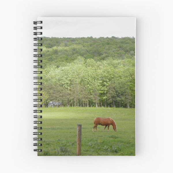 Item preview, Horse designed and sold by VanyGo.