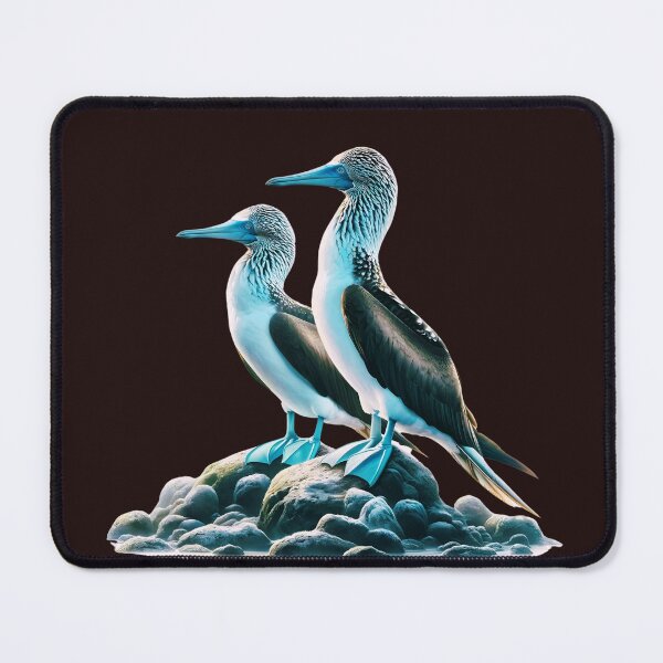 Item preview, Blue Footed Boobie Birds designed and sold by elynne9.