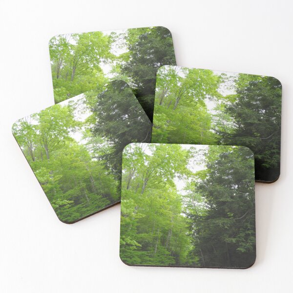 Item preview, Forest Path designed and sold by VanyGo.