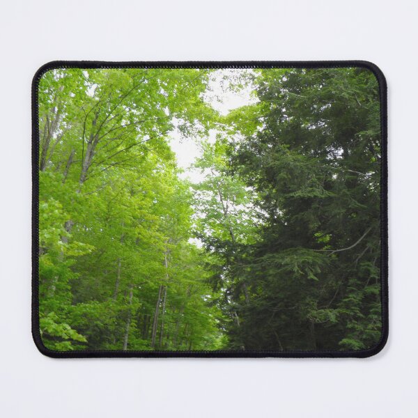 Item preview, Forest Path designed and sold by VanyGo.