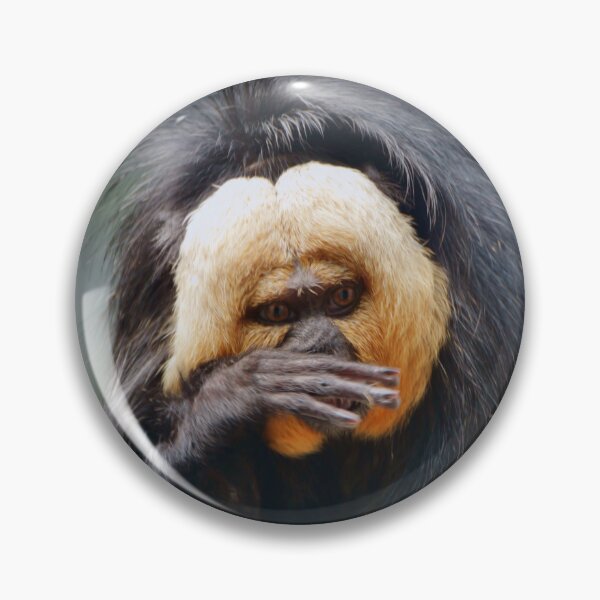 Item preview, Saki Monkey designed and sold by Savannah Gibbs.