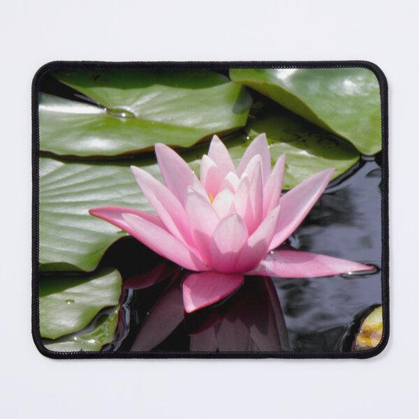 Item preview, Pink Water Lily in Pond designed and sold by VanyGo.