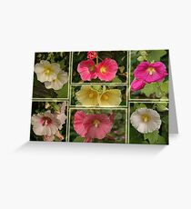 Hollyhock Greeting Card