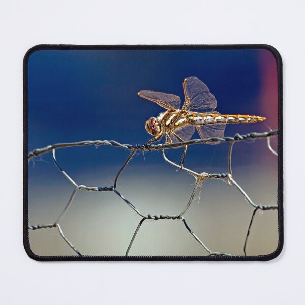Item preview, Imminent Flight  designed and sold by alanathrower.