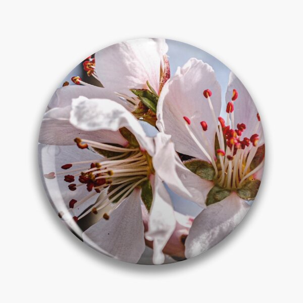 Item preview, Spring - almond blossom designed and sold by AnnabellaRh.