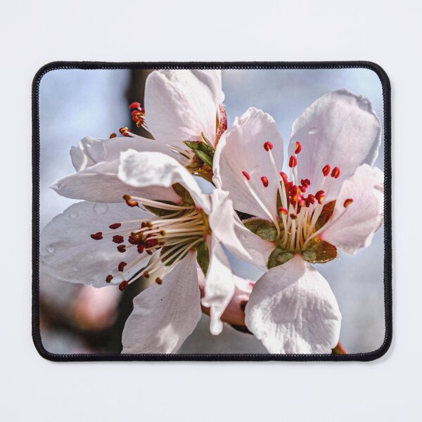 Item preview, Spring - almond blossom designed and sold by AnnabellaRh.