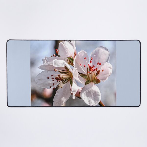 Item preview, Spring - almond blossom designed and sold by AnnabellaRh.