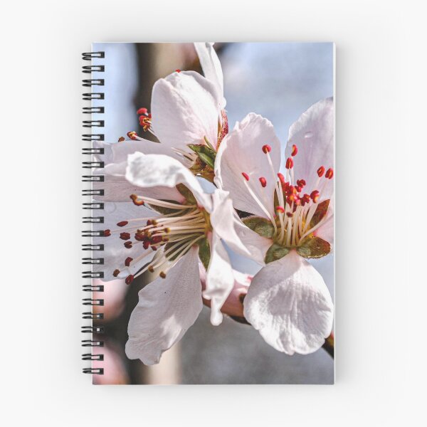 Item preview, Spring - almond blossom designed and sold by AnnabellaRh.