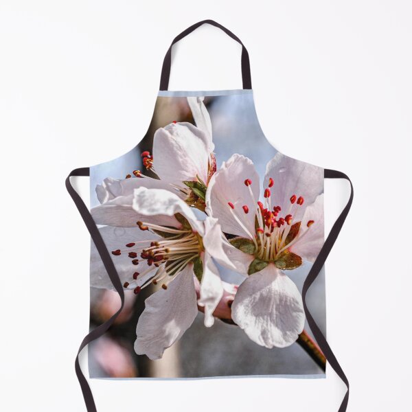 Artikelvorschau, Frühling - Mandelblüte entworfen und verkauft von AnnabellaRh.