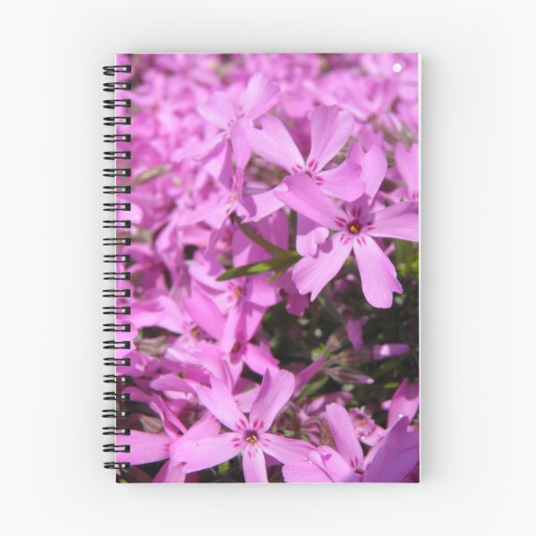 Item preview, Creeping Phlox designed and sold by VanyGo.
