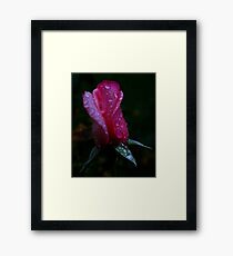 rain drops Framed Print