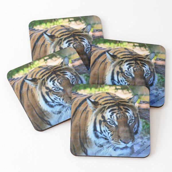 Item preview, Satu designed and sold by Savannah Gibbs.