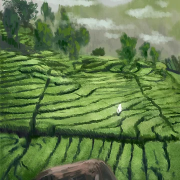 Artwork thumbnail, Java by catheee