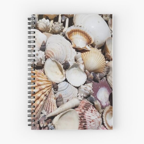 Item preview, Costa Rica Shells designed and sold by taoaqui.