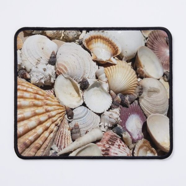 Item preview, Costa Rica Shells designed and sold by taoaqui.