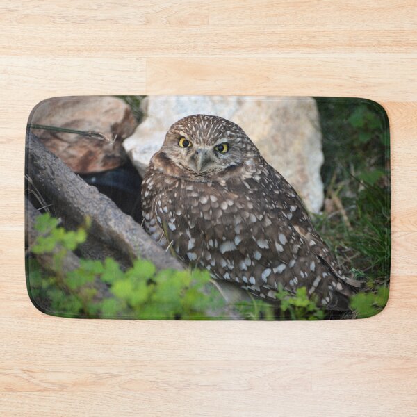 Item preview, Burrowing Owl designed and sold by Savannah Gibbs.