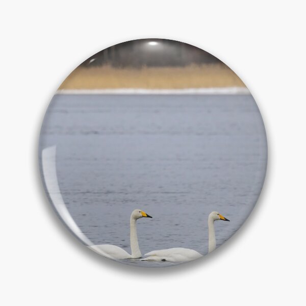 Item preview, And I will follow. Whooper swan designed and sold by Jouko Lehto Photography.