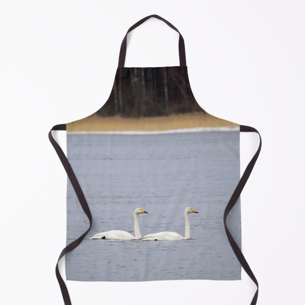 Item preview, And I will follow. Whooper swan designed and sold by Jouko Lehto Photography.