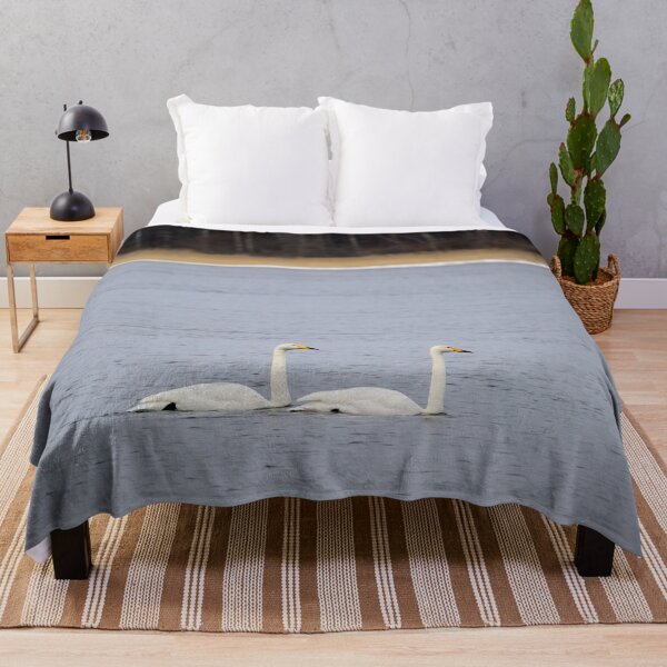 Item preview, And I will follow. Whooper swan designed and sold by Jouko Lehto Photography.