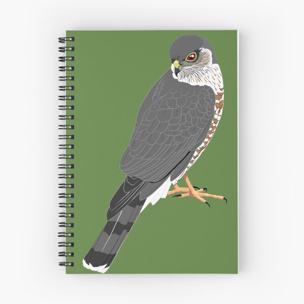 Item preview, Sharp-Shinned Hawk designed and sold by BennuBirdy.