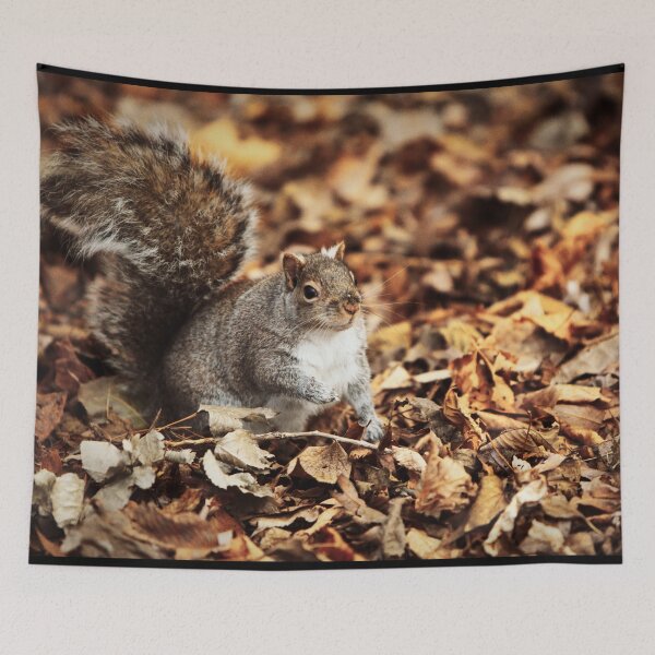 Item preview, Squirrel designed and sold by Picsorama.