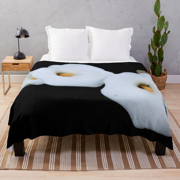 Item preview, Three Calla Lilies Isolated On A Black Background designed and sold by taiche.