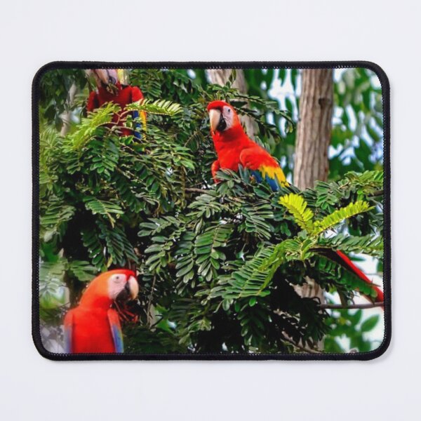 Item preview, Lapas Rojas designed and sold by taoaqui.